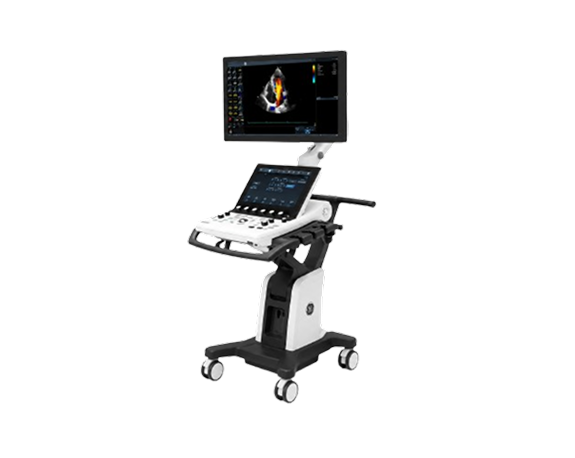 GE HEALTHCARE VIVID